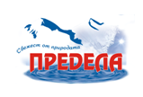predel галон лого